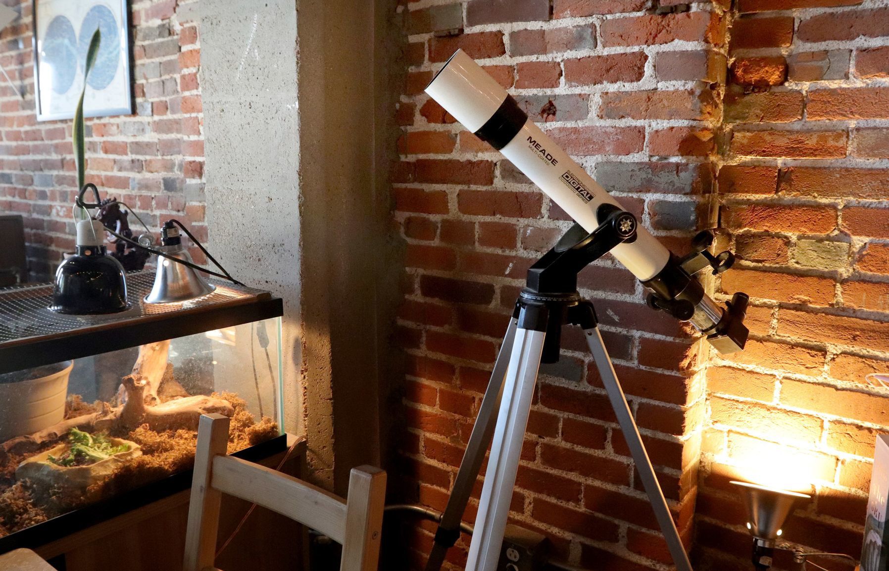 At Home in a Downtown loft